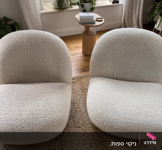 שני כיסאות על שטיח עם צמחים ברקע